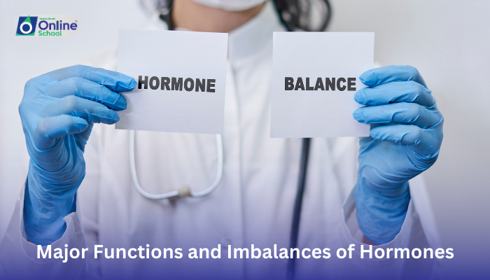 Lesson 07: Major Functions and Imbalances of Hormones